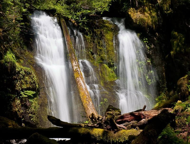 Parker Falls flowing through a green woodland