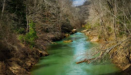 River scenery in the Sipsey region of Alabama